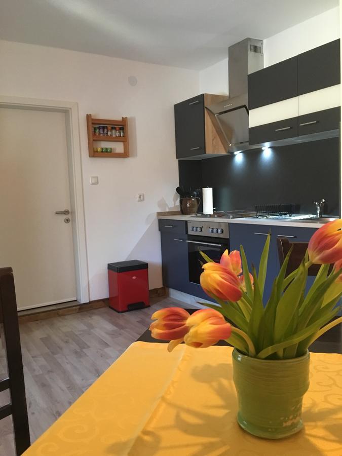 Ferienwohnung Richtermuehle Saupsdorf Экстерьер фото