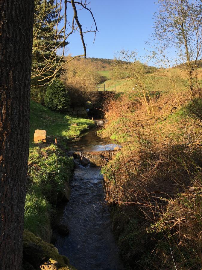 Ferienwohnung Richtermuehle Saupsdorf Экстерьер фото